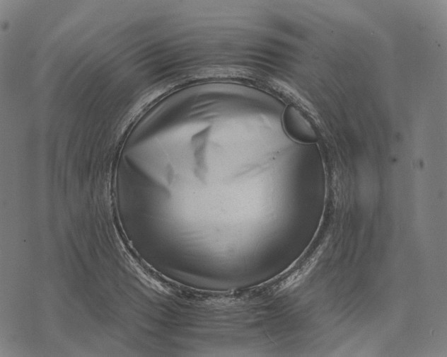 X0000071781033200607211552