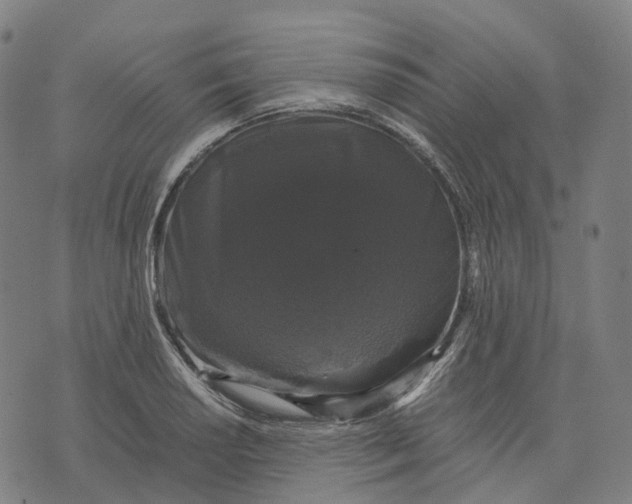 X0000071781034200607211552