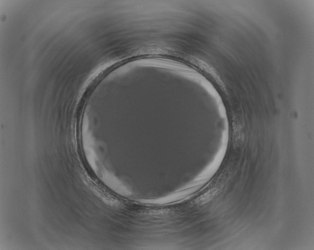 X0000071781035200607211552