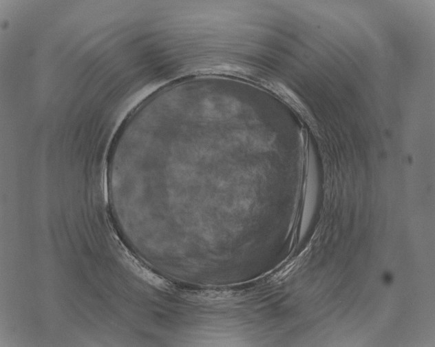 X0000071781036200607211552