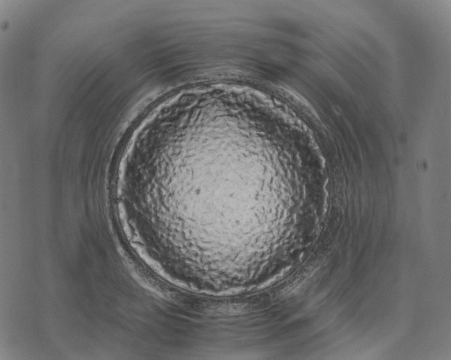 X0000071781039200607211552