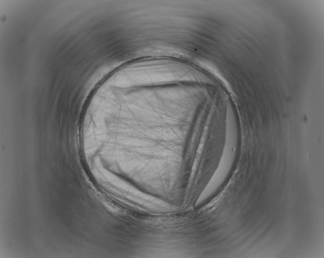 X0000071781040200607211552