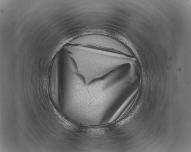 X0000071781041200607211552