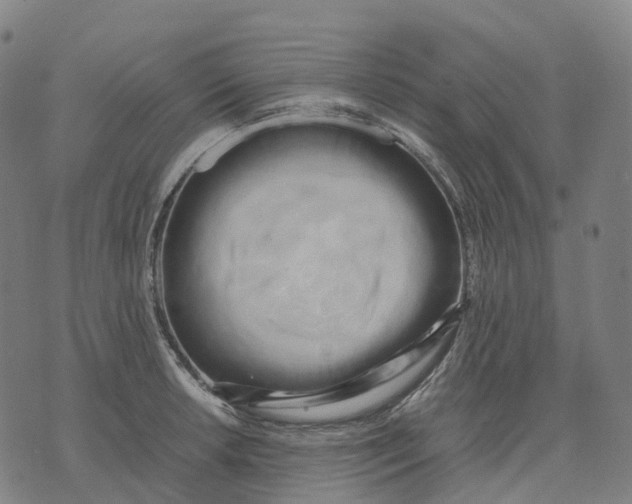 X0000071781042200607211552