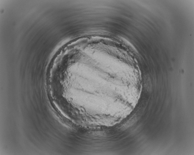 X0000071781043200607211552