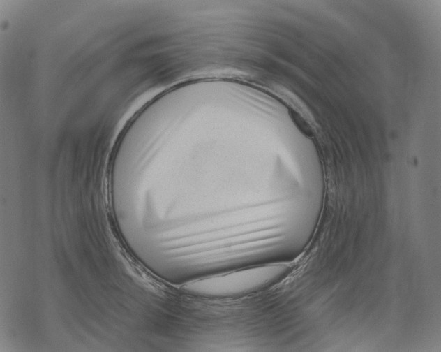 X0000071781044200607211552