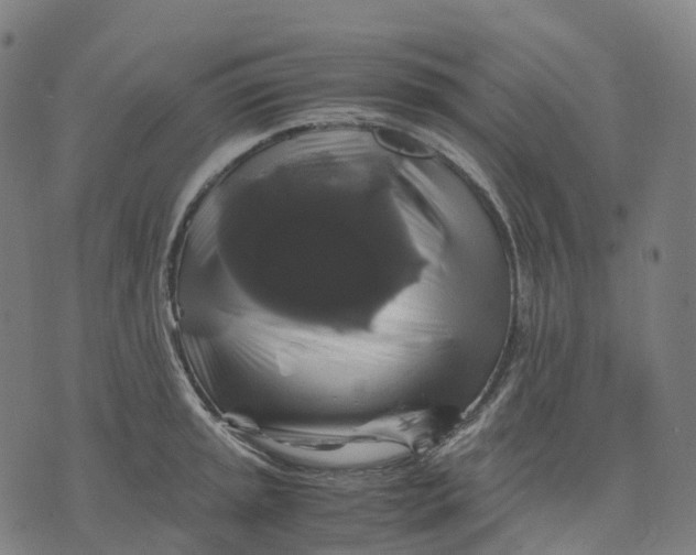 X0000071781045200607211552