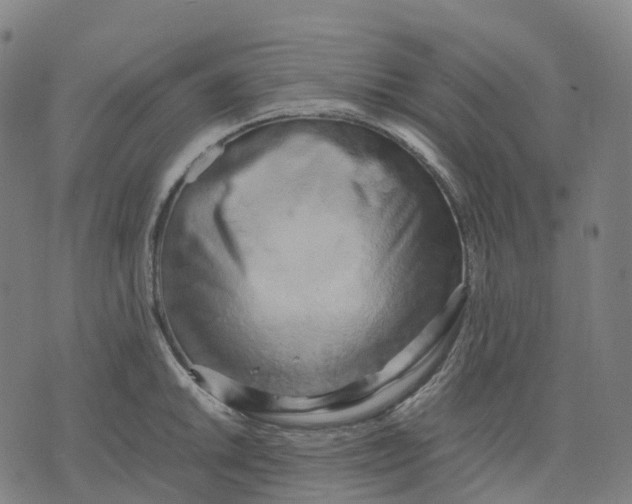 X0000071781046200607211552