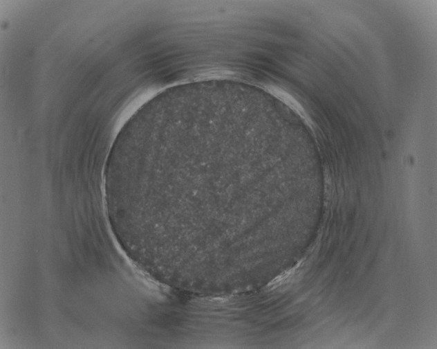 X0000071781047200607211552