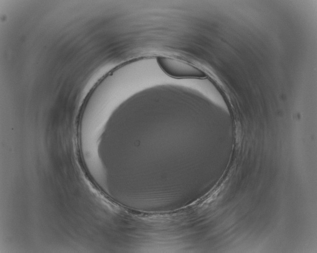 X0000071781048200607211552