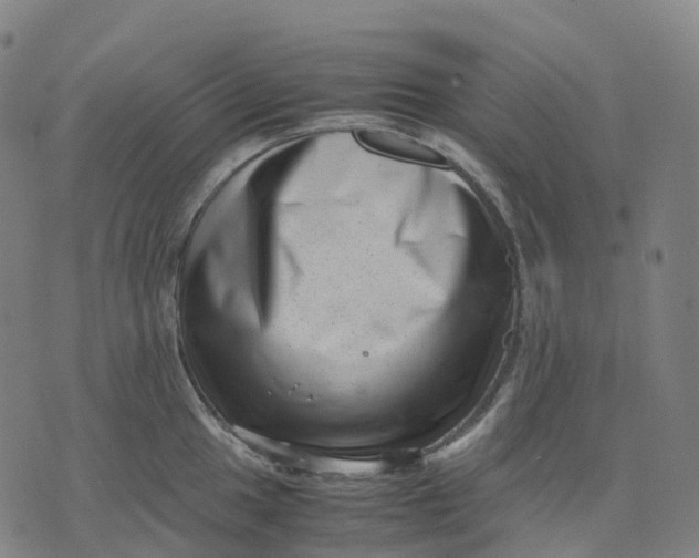 X0000071781049200607211552