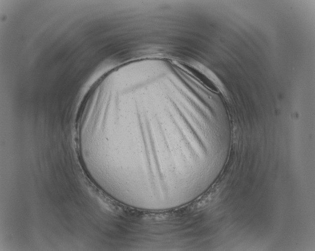 X0000071781051200607211552