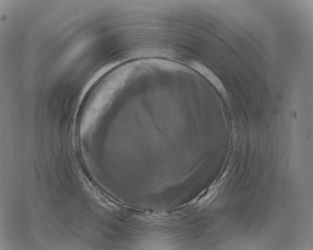 X0000071781052200607211552