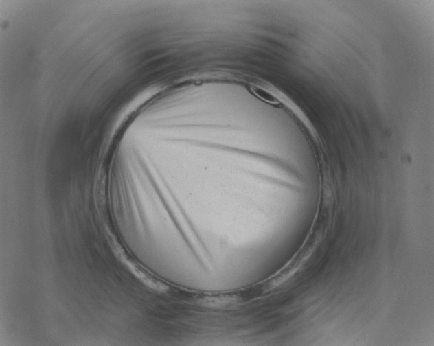 X0000071781053200607211552