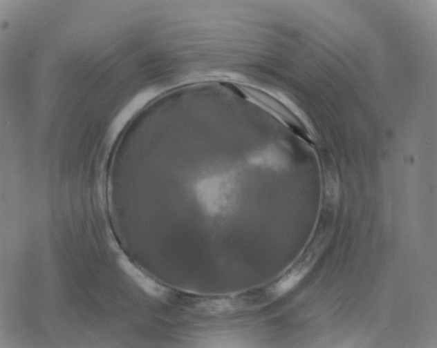 X0000071781054200607211552