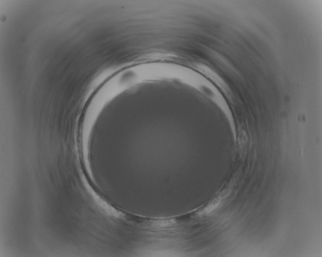 X0000071781055200607211552