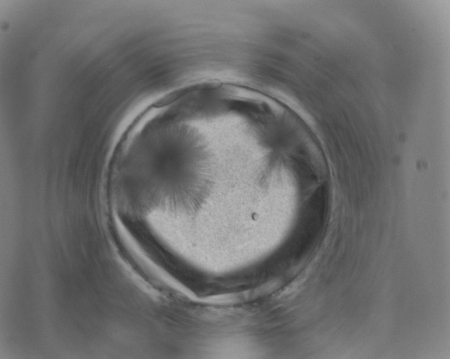 X0000071781056200607211552