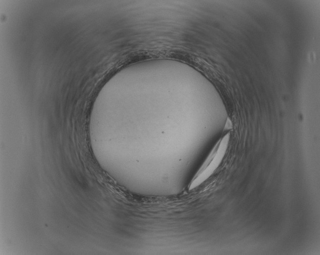 X0000071781057200607211551