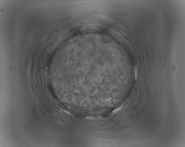 X0000071781059200607211551