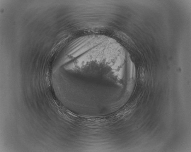 X0000071781060200607211551