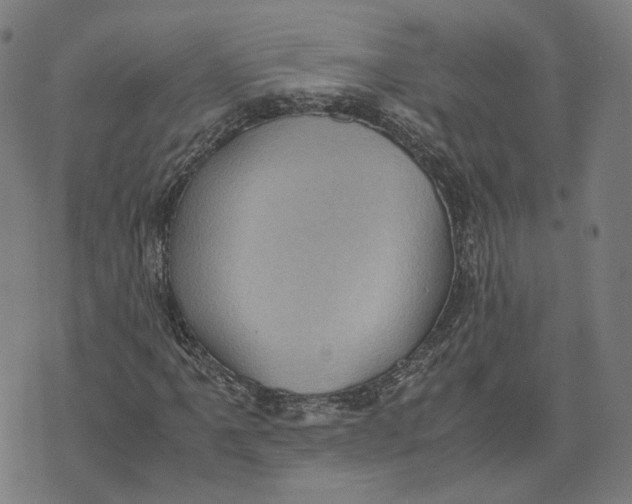 X0000071781061200607211551