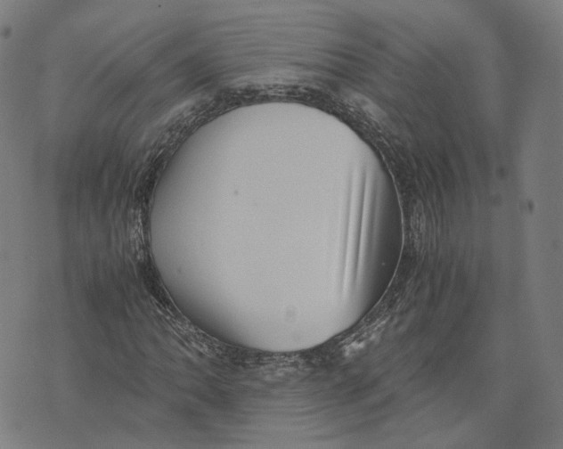 X0000071781062200607211551