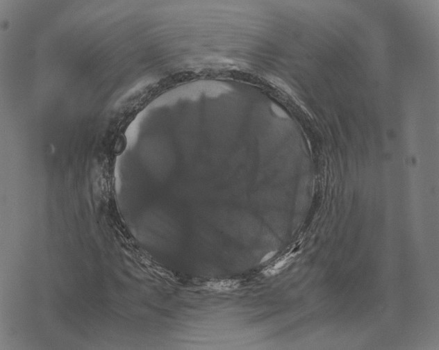 X0000071781063200607211551