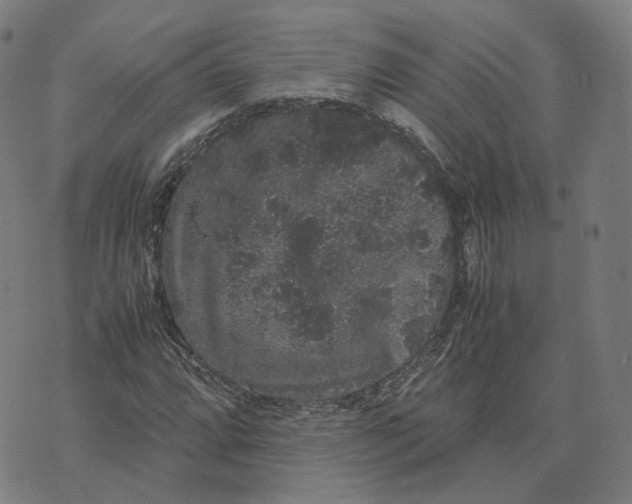 X0000071781064200607211551