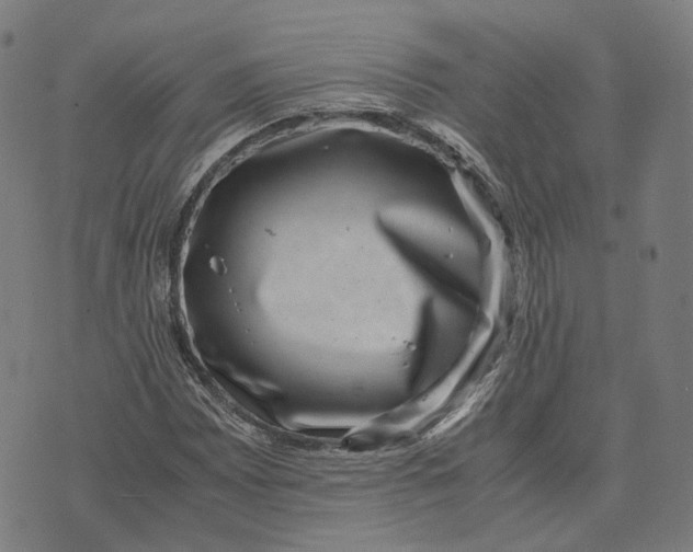 X0000071781065200607211551