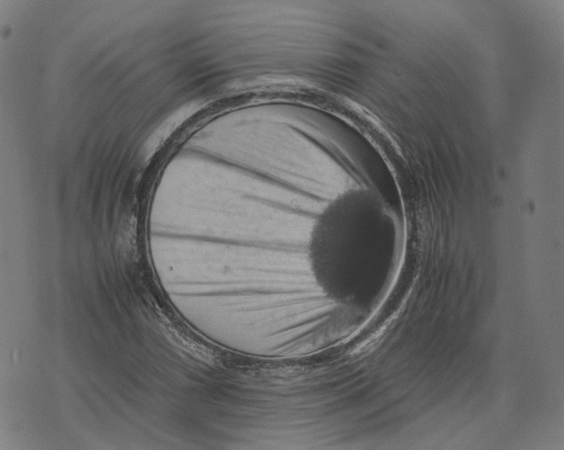 X0000071781066200607211551