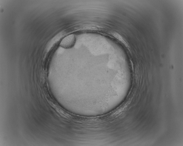 X0000071781067200607211551