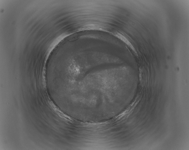 X0000071781068200607211551