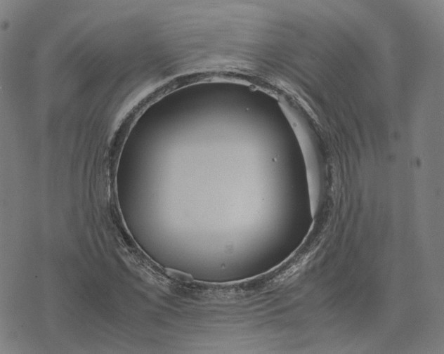 X0000071781069200607211551