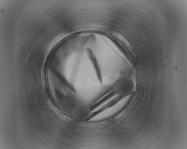 X0000071781072200607211551