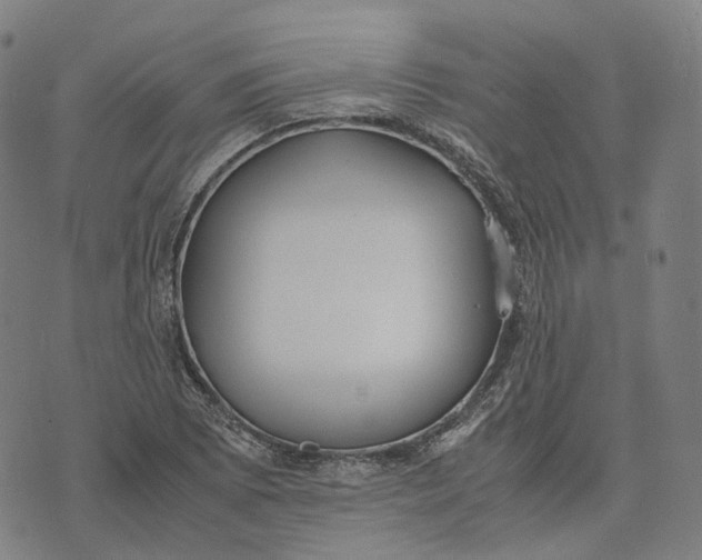 X0000071781073200607211551