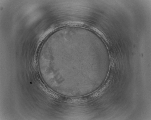 X0000071781074200607211551