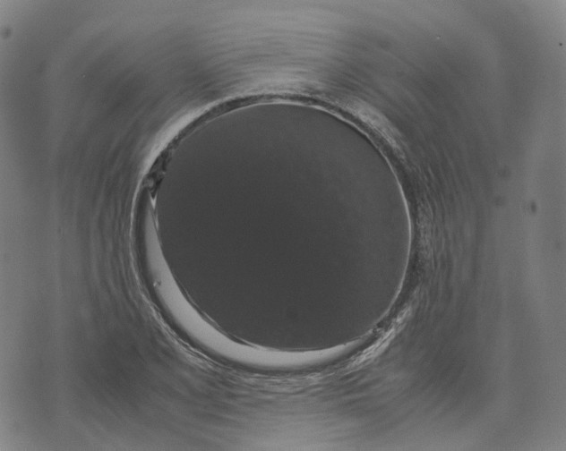 X0000071781077200607211551