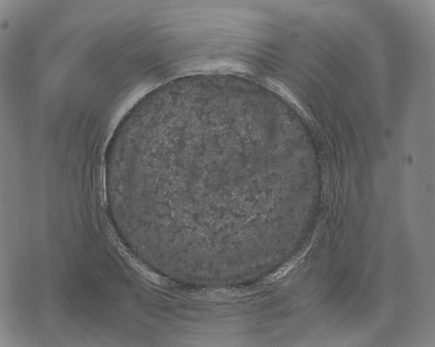 X0000071781079200607211551