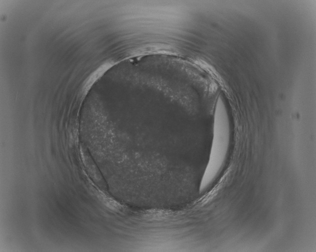 X0000071781081200607211551