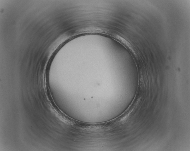 X0000071781082200607211551