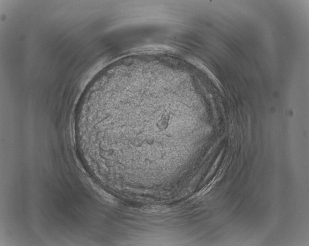 X0000071781083200607211551