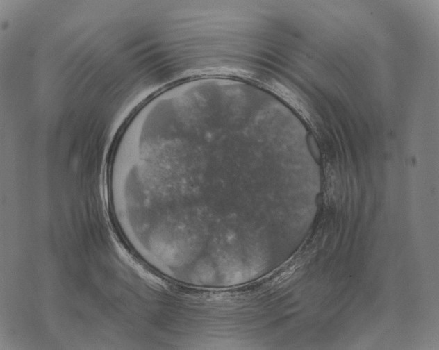 X0000071781084200607211551