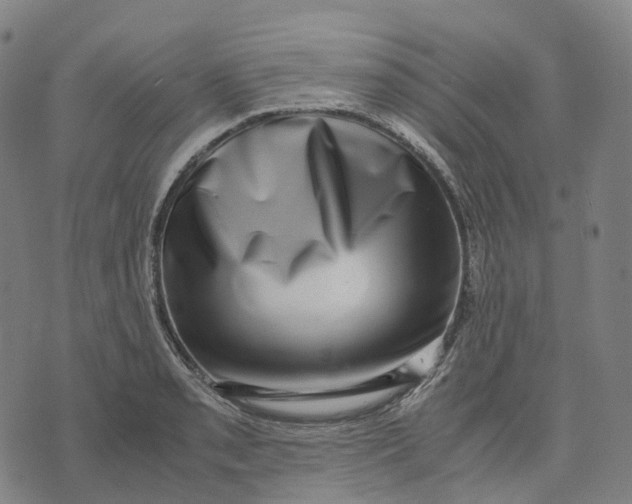 X0000071781085200607211551