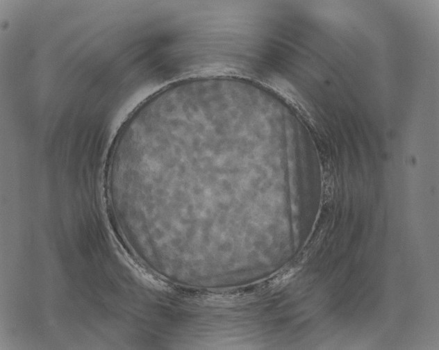 X0000071781086200607211551