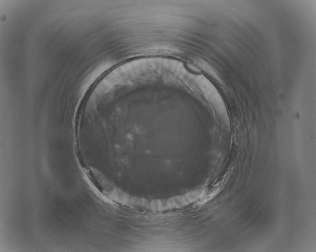 X0000071781087200607211551