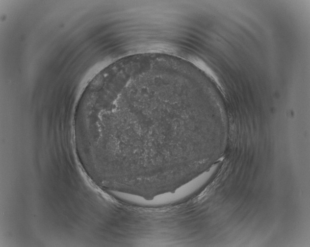 X0000071781088200607211551