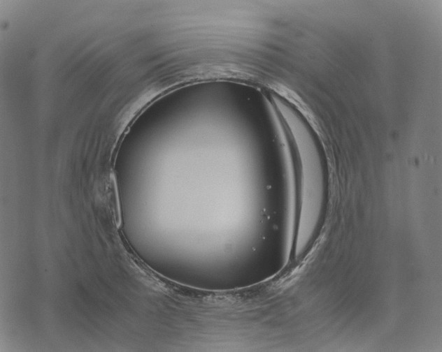 X0000071781089200607211551