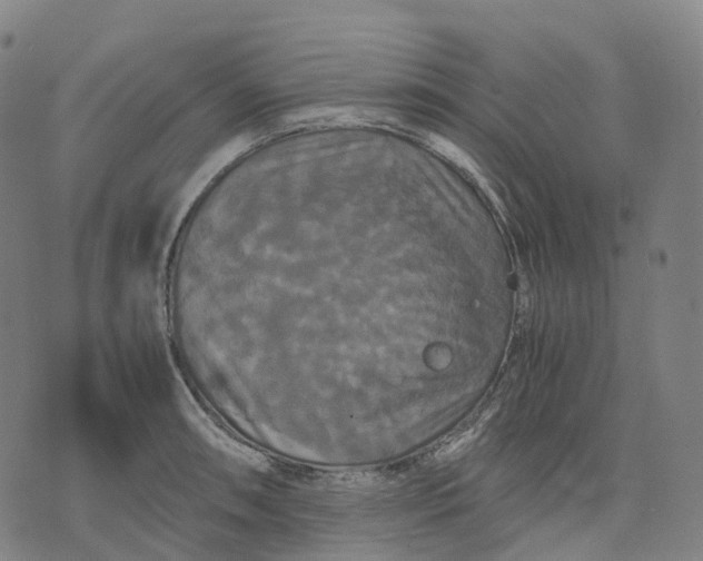 X0000071781090200607211551