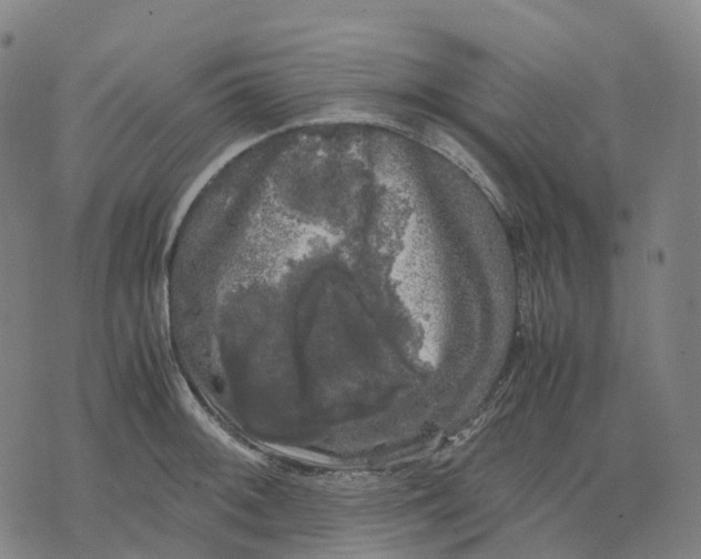 X0000071781092200607211551