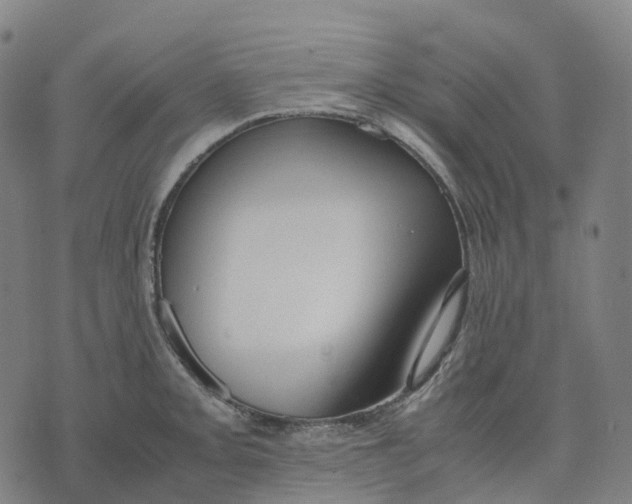 X0000071781093200607211551